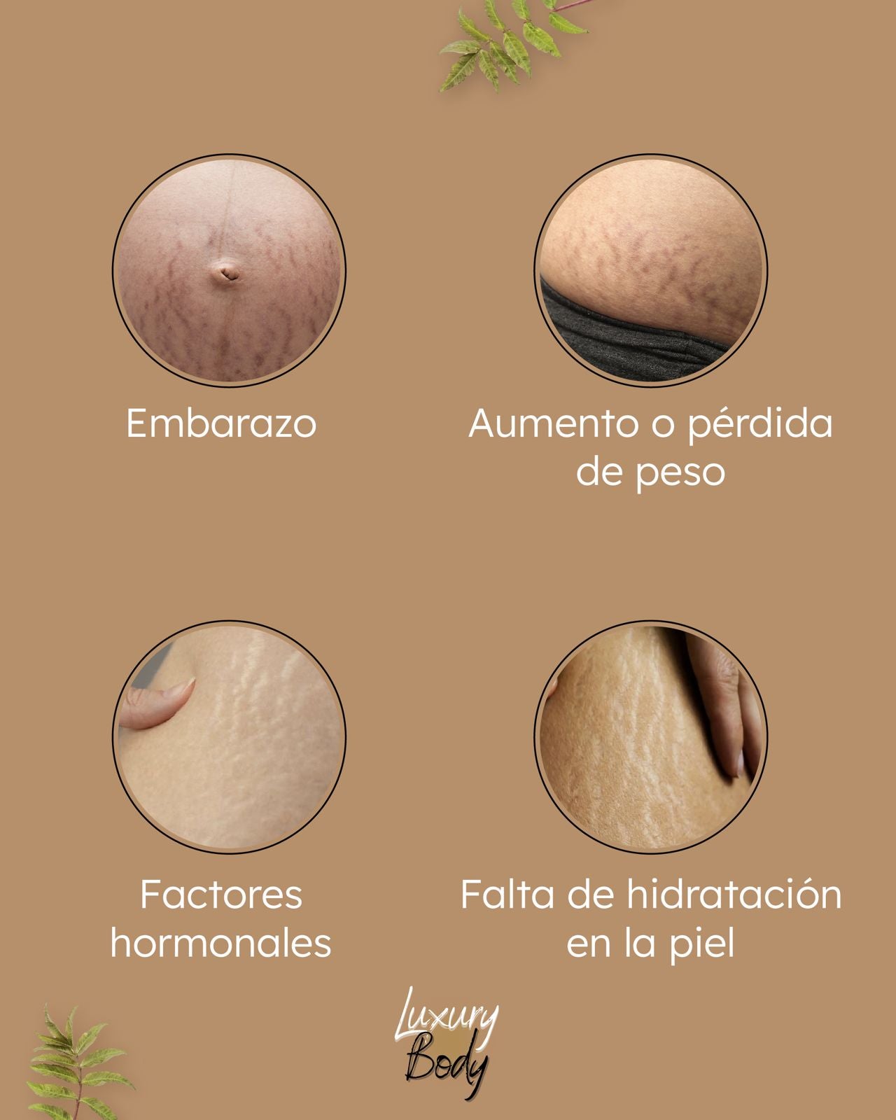 Loción Reafirmante Luxury Body
